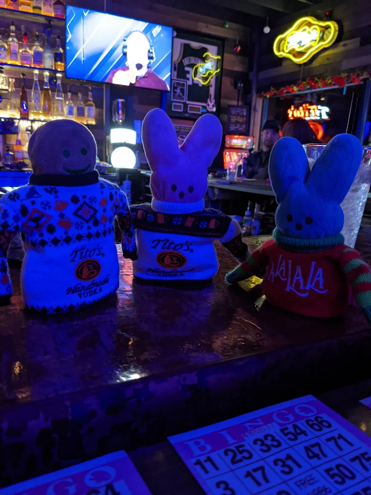 Bingo cards on the bar under blue neon light with novelty mascots lined up along the rail